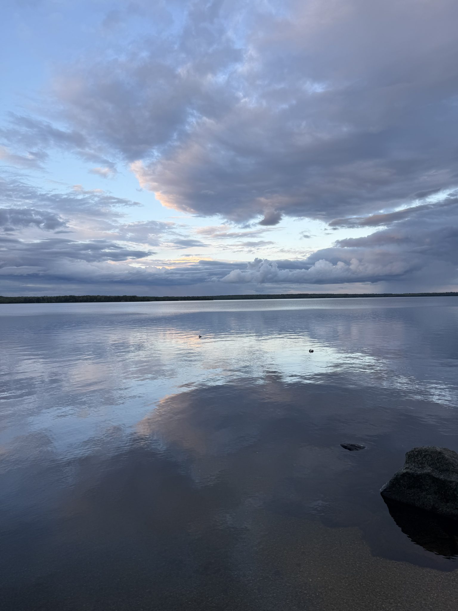 Still, glassy water and distant treeline on Sebago Lake